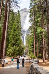 "Yosemite park in the USA - Marinovich Photography"