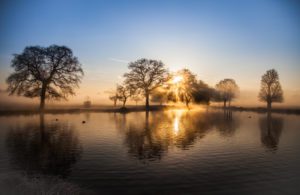 "Sunrise in Bushy Park London - Marinovich Photography"
