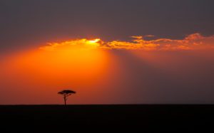 "Masai Mara sunset - Marinovich Photography"