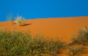 "red dunes of the kalahari - Marinovich Photography"