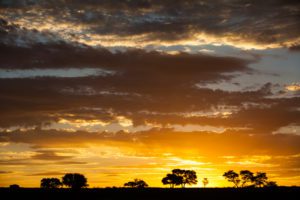 "sunset in the kruger national park - Marinovich Photography"
