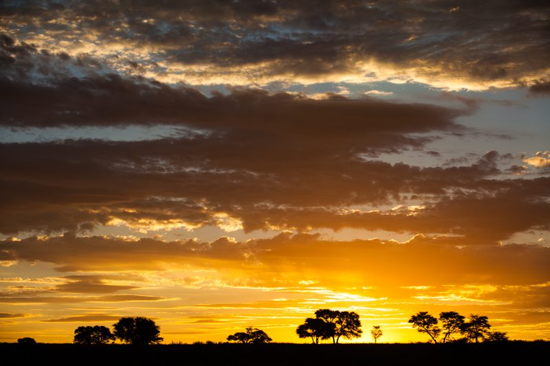 " Kalahari Sunset - Kgalagadi Transfrontier Park"