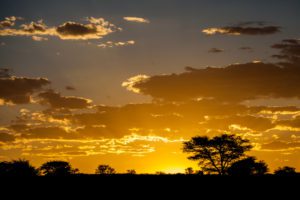 "african sunset - Marinovich Photography"