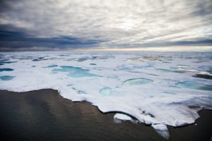 arctic ice global warming - Marinovich Photography"