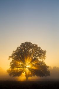 "sunrise in the UK - Marinovich Photography"