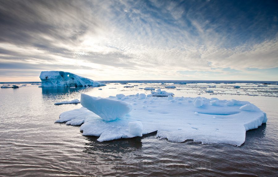  "Arctic Ice - Svalbard - Marinovich Wildlife Photography"