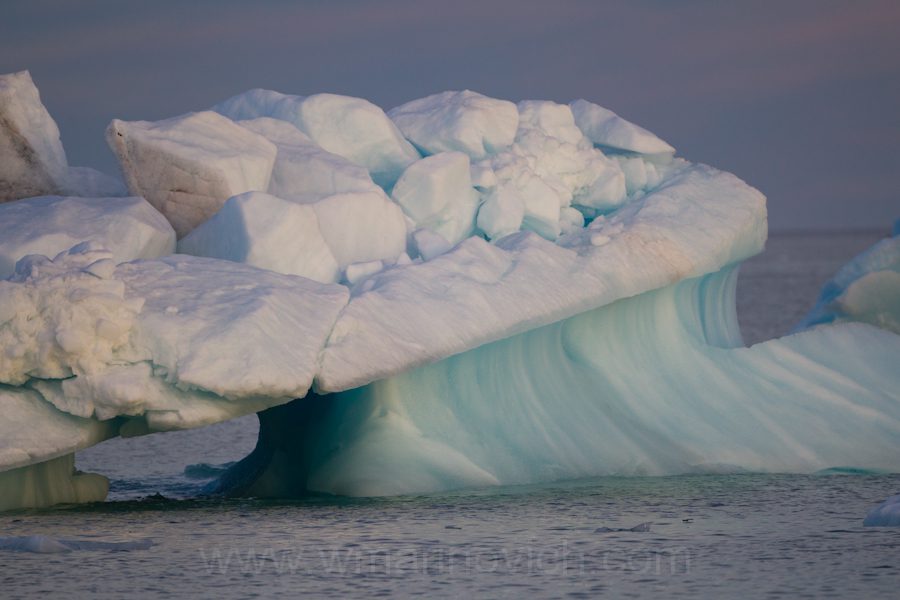 "Arctic ice - Svalbard - Marinovich Wildlife Photography"