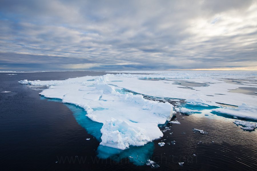 "Arctic Landscape - Svalbard - Marinovich Wildlife Photography"