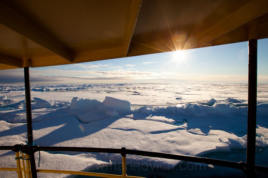 "Arctic summer sun - Svalbard - Marinovich Wildlife Photography"