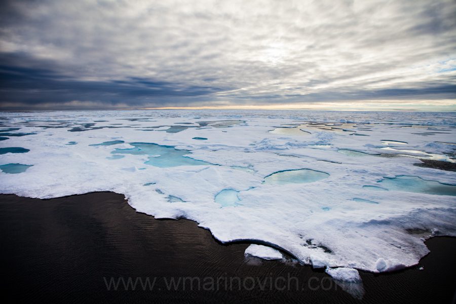 "Arctic Landscape - Marinovich Wildlife Photography"