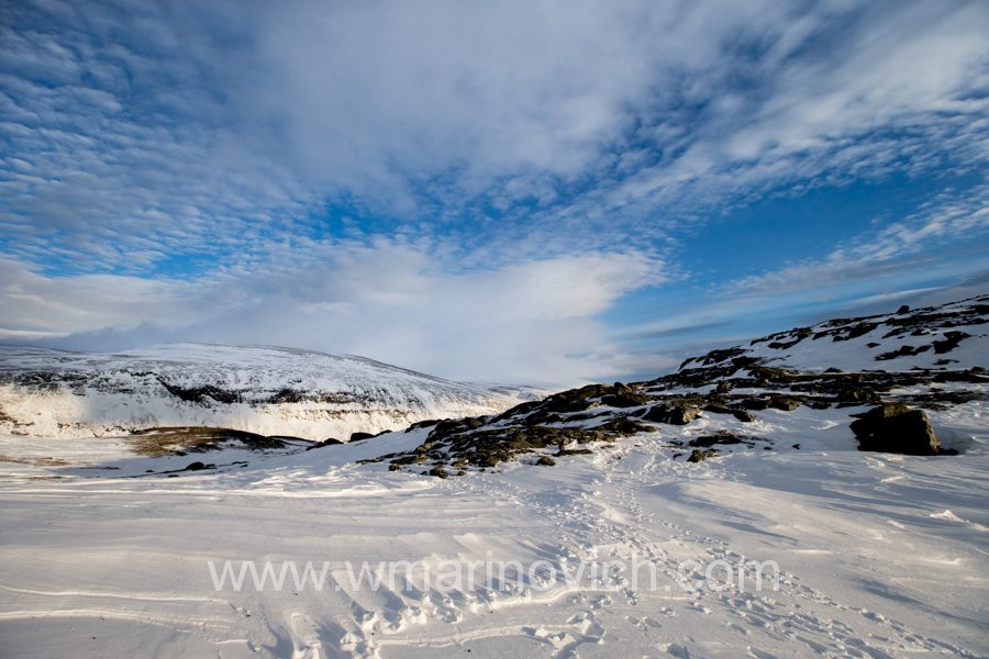 "dovrefjell-national-park-marinovich-wildlife-photography"