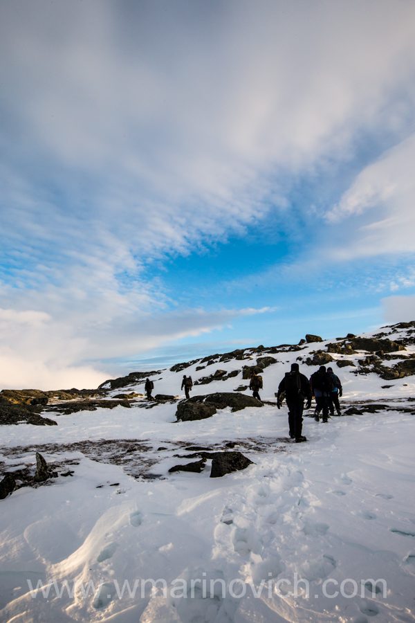 "Trekking-for-musk-ox-dovrefjell-national-park-marinovich-wildlife-photography"