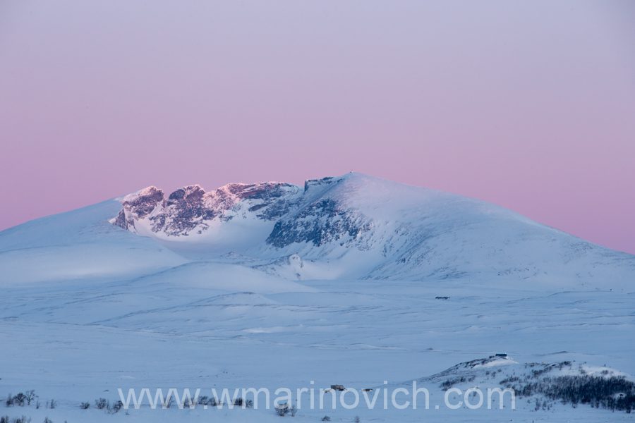 "Snohetta-dovrefjell-national-park-marinovich-wildlife-photography"