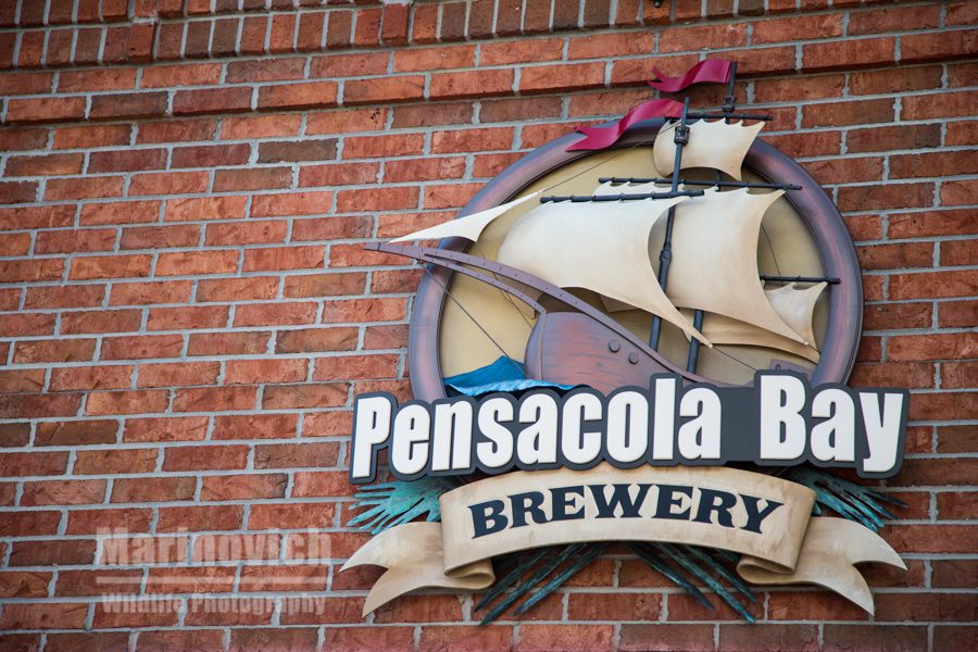 "Pensacola Brewery - Marinovich Wildlife Photography"
