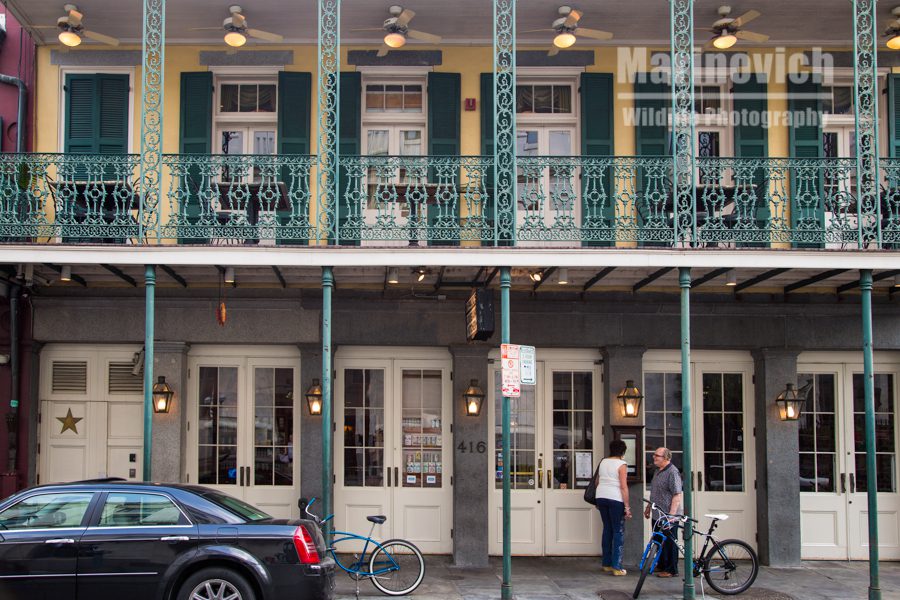 "More New Orleans architecture"