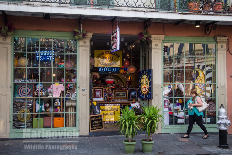"New Orleans voodoo shop"