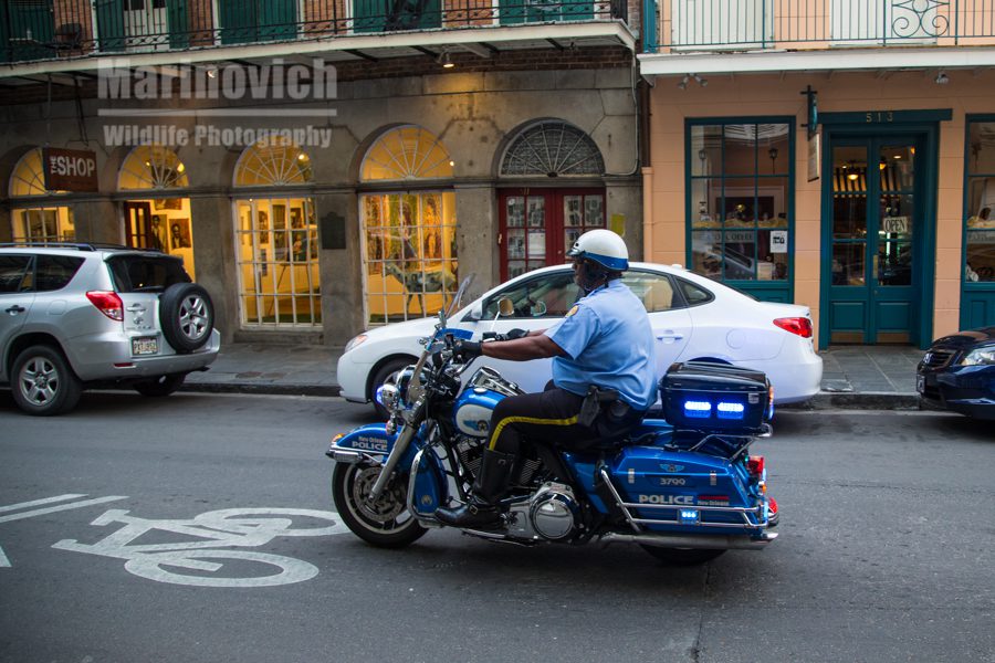 "Law enforcement -  New Orleans"