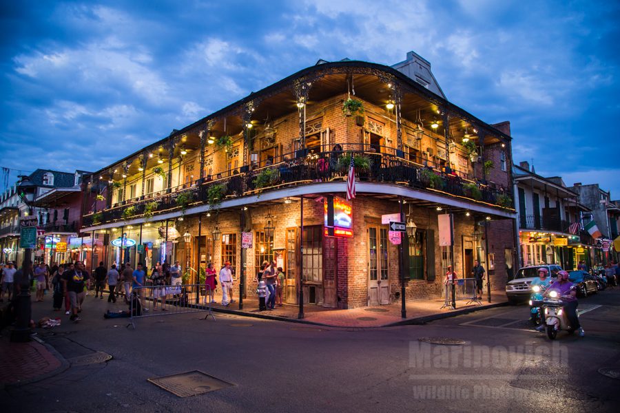 "Twilight with no Vampires - New Orleans"