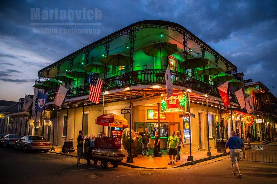 "Canon 1Dx performing in lowlight - New Orleans"