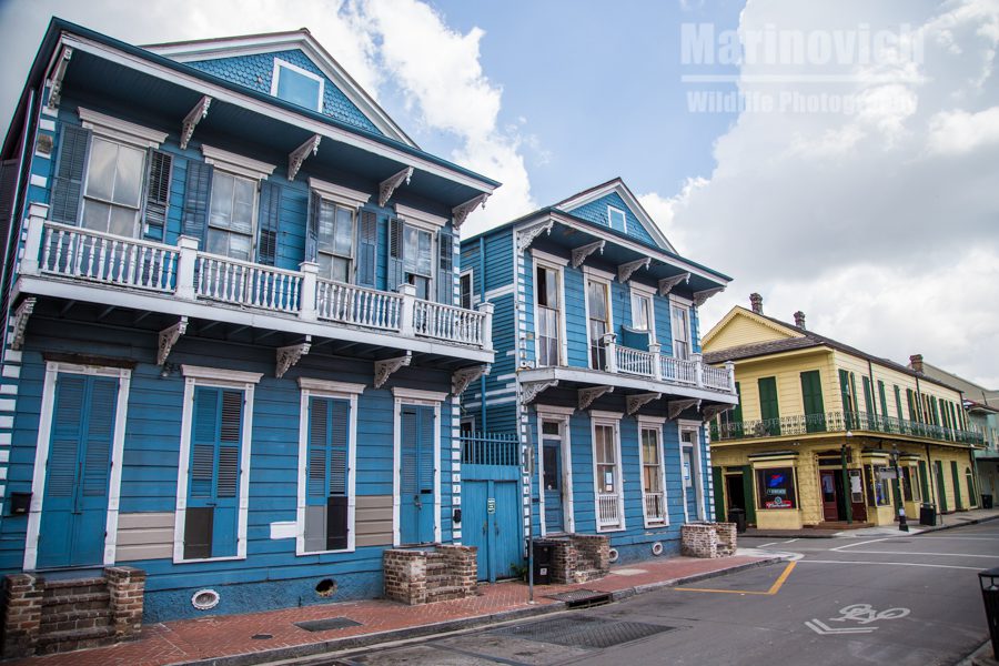 "Blue and Yellow houses - New Orleans"