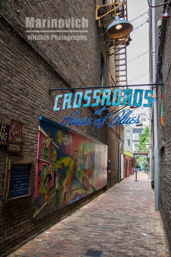 "Crossroads at the house of blues - New Orleans"