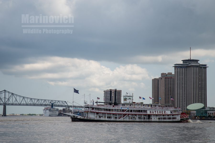 "The Natchez riverboat - New Orleans"