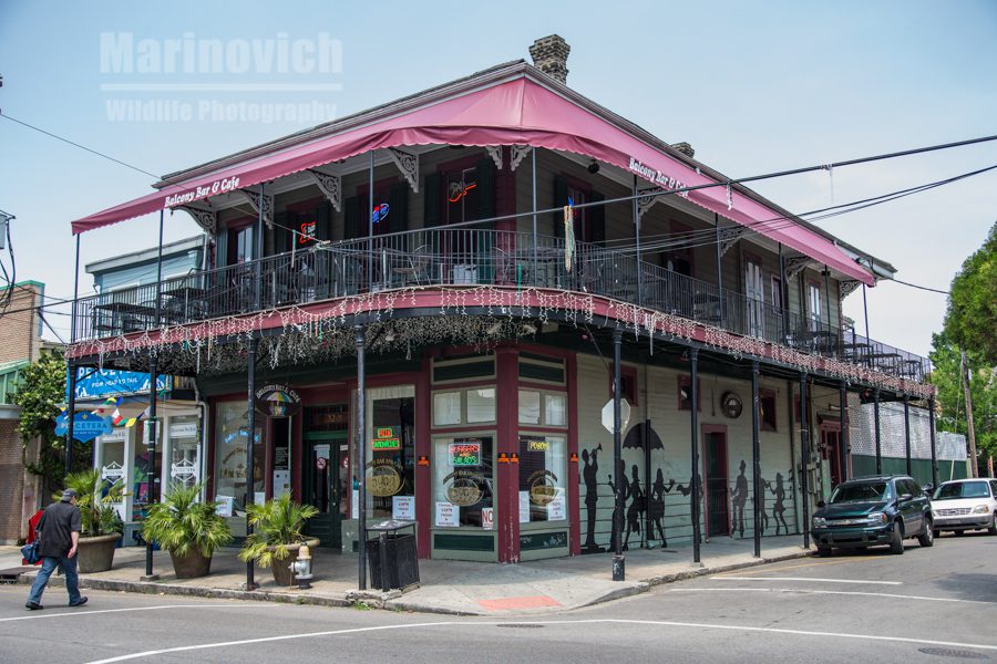 "Somewhere on Magazine street - New Orleans"