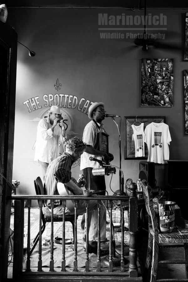 "Washboard Chaz Blues trio - The Spotted Cat, New Orleans"