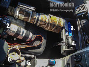 "Canon Equipment used on a Self drive safari - Marinovich Wildlife Photography"