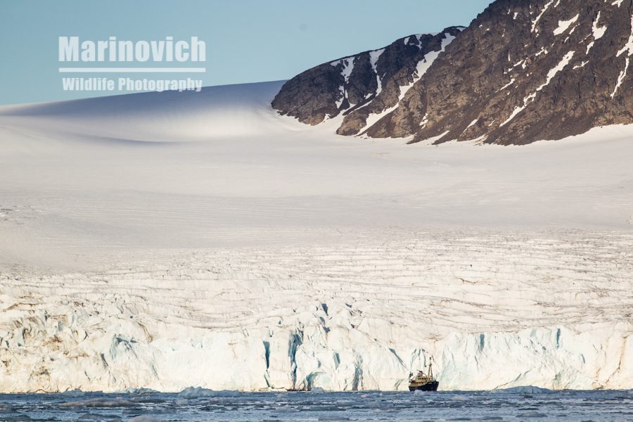 "Glacier and ship - Svalbard - Marinovich Wildlife Photography"