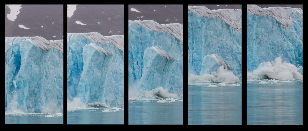 "Calving Glacier - Svalbard - Marinovich Wildlife Photography"