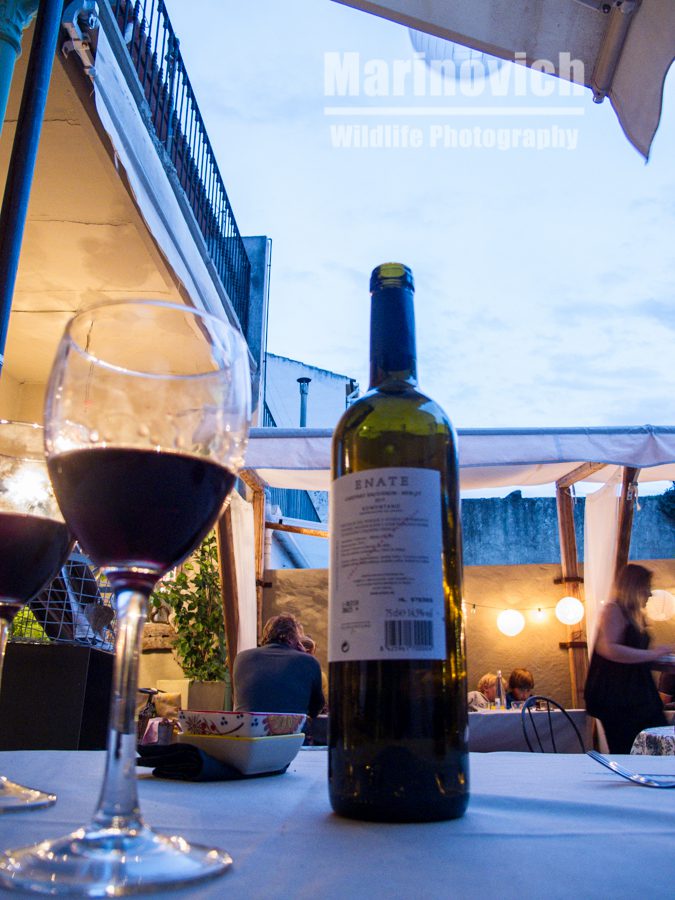 "Wine sampling in Spain - marinovich-wildlife-photography"