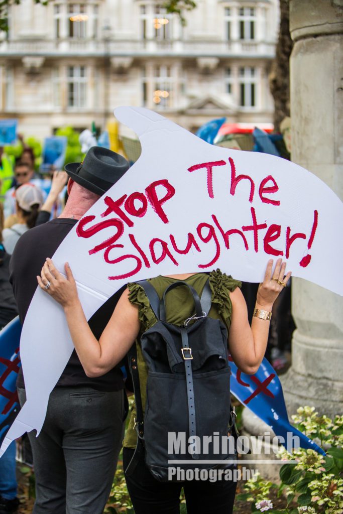 "Stop the slaughter - Marinovich-photography!