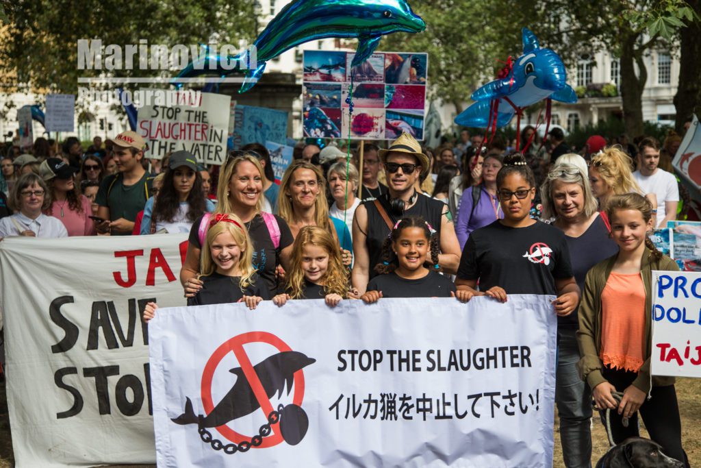 ""Stop the slaughter of dolphins Japan - marinovich-photography"