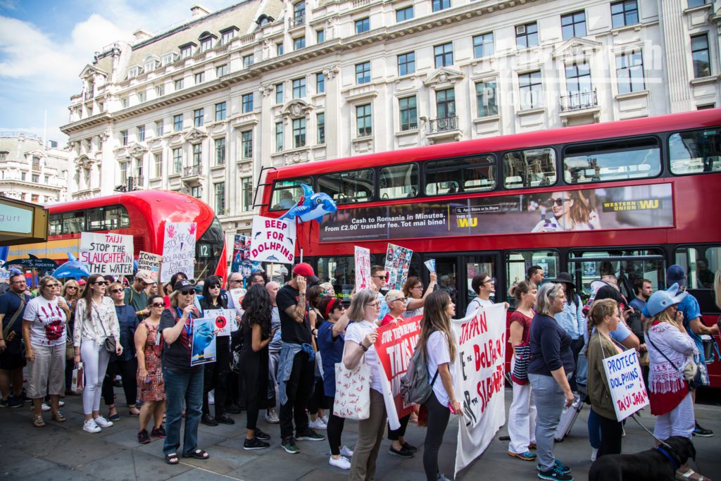 "London March against the killing of dolphins in Japan - marinovich-photography"