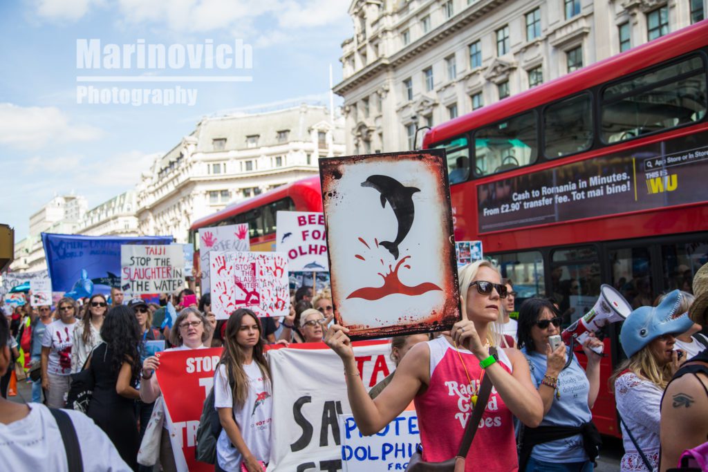 "Taiji - Stop the slaughter in the water-marinovich-photography"