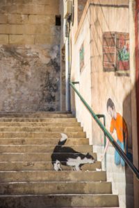"urban art on the streets of malta - Marinovich Photography"