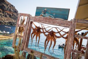 "Octopus in Ammoudi bay - Wayne Marinovich Photography"