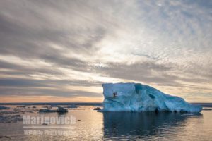 "Arctic Ice - Climate Change - Wayne Marinovich Photography"