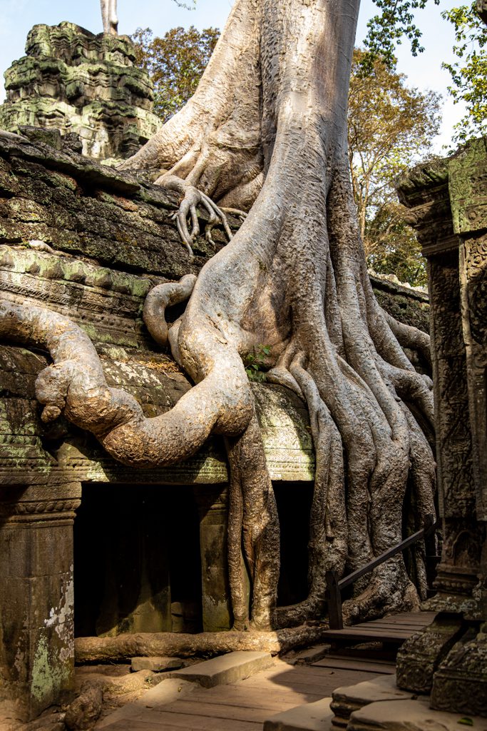 "Angkor Wat temples- Cambodia - Wayne Marinovich Photography"