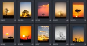 "Glorious isolation NFT collection by Wayne Marinovich Photography"