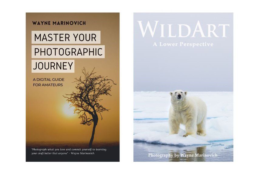 "Free Books when you sign up to Wayne Marinovich Photography newsletter"
