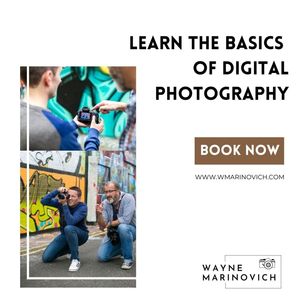 "Learn the Basics of Digital photography - Wayne MArinovich Photography"